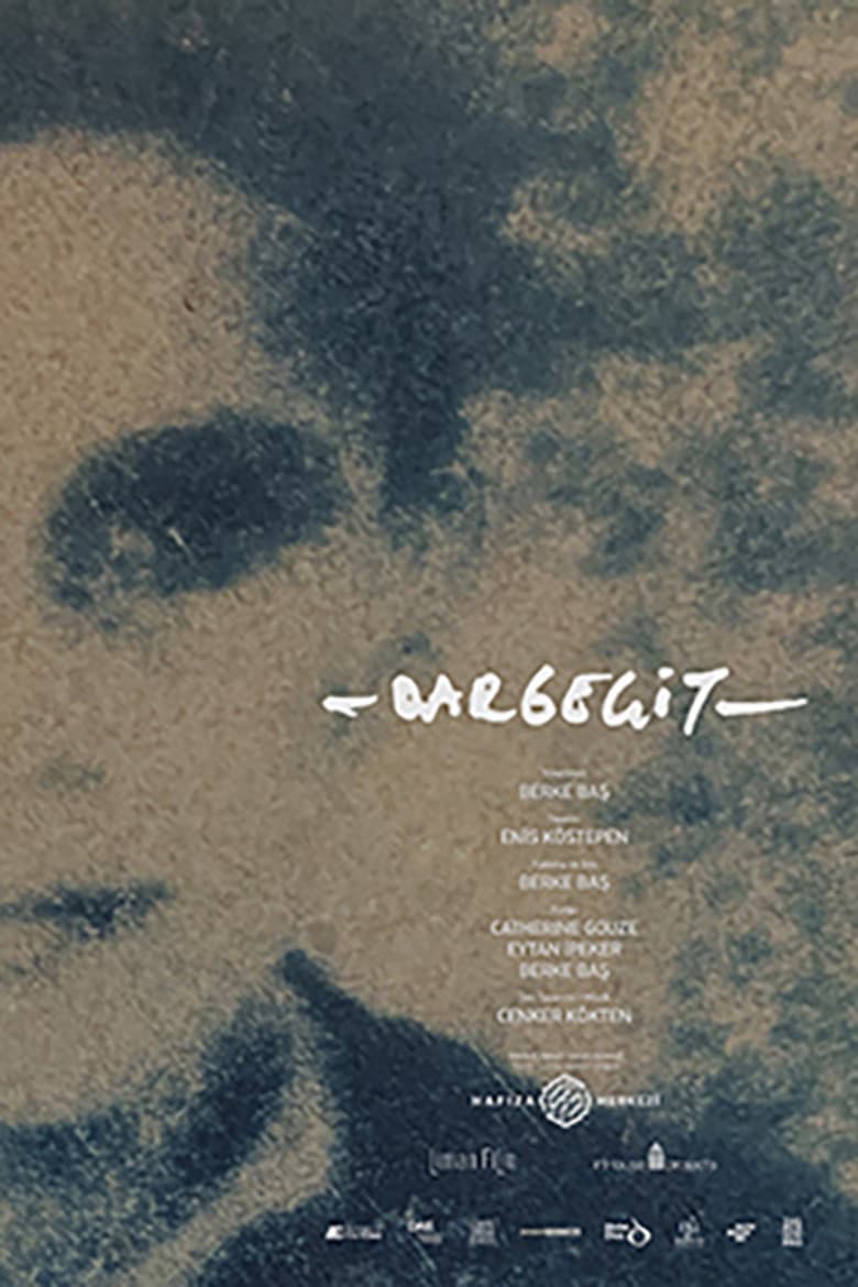 Hold Still poster