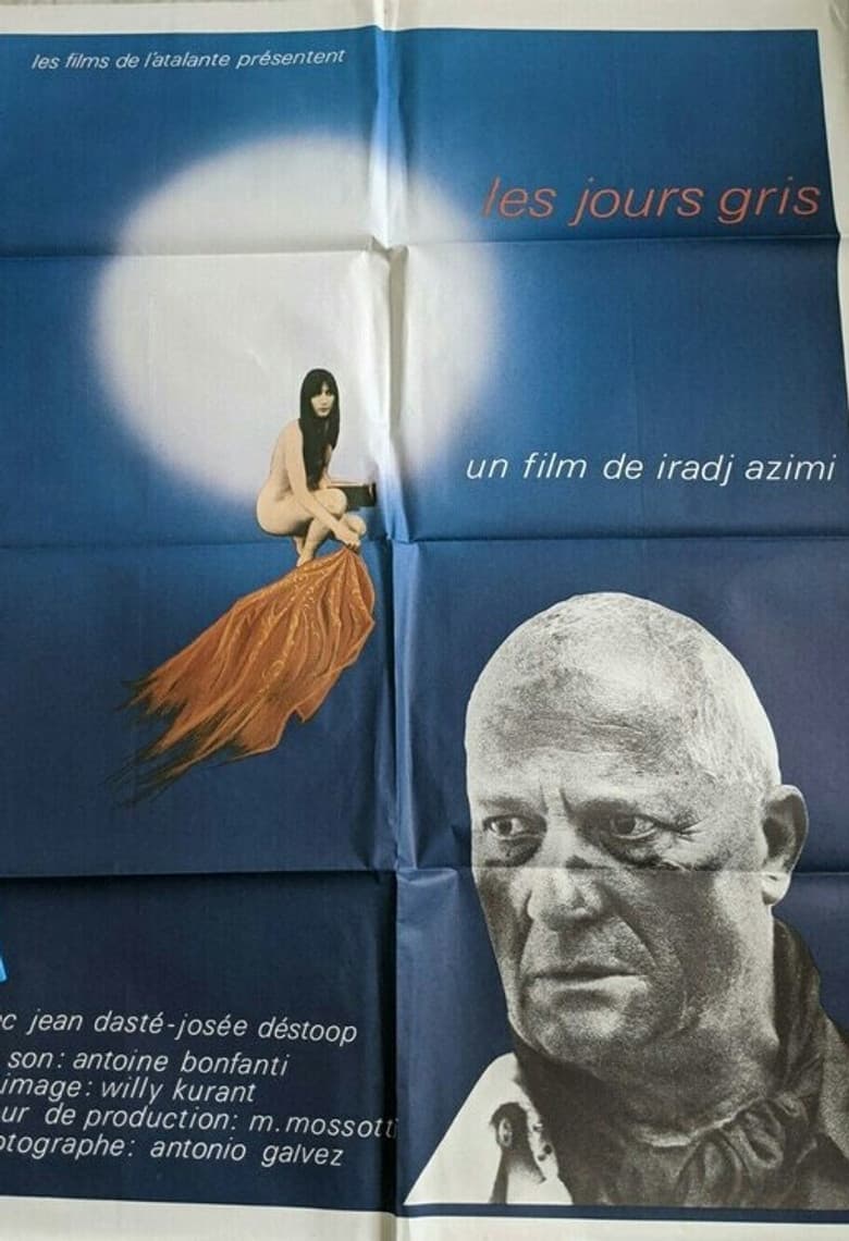Les jours gris poster