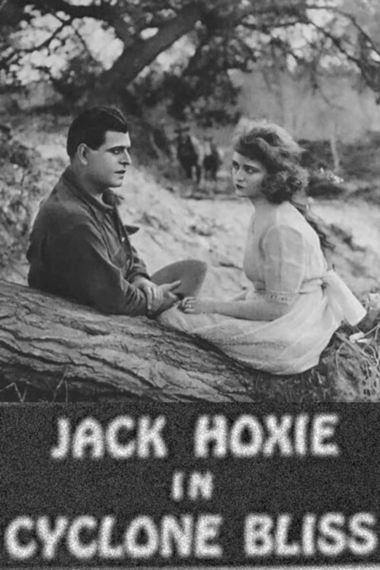 Cyclone Bliss poster