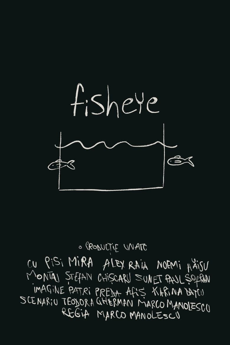 fisheye poster