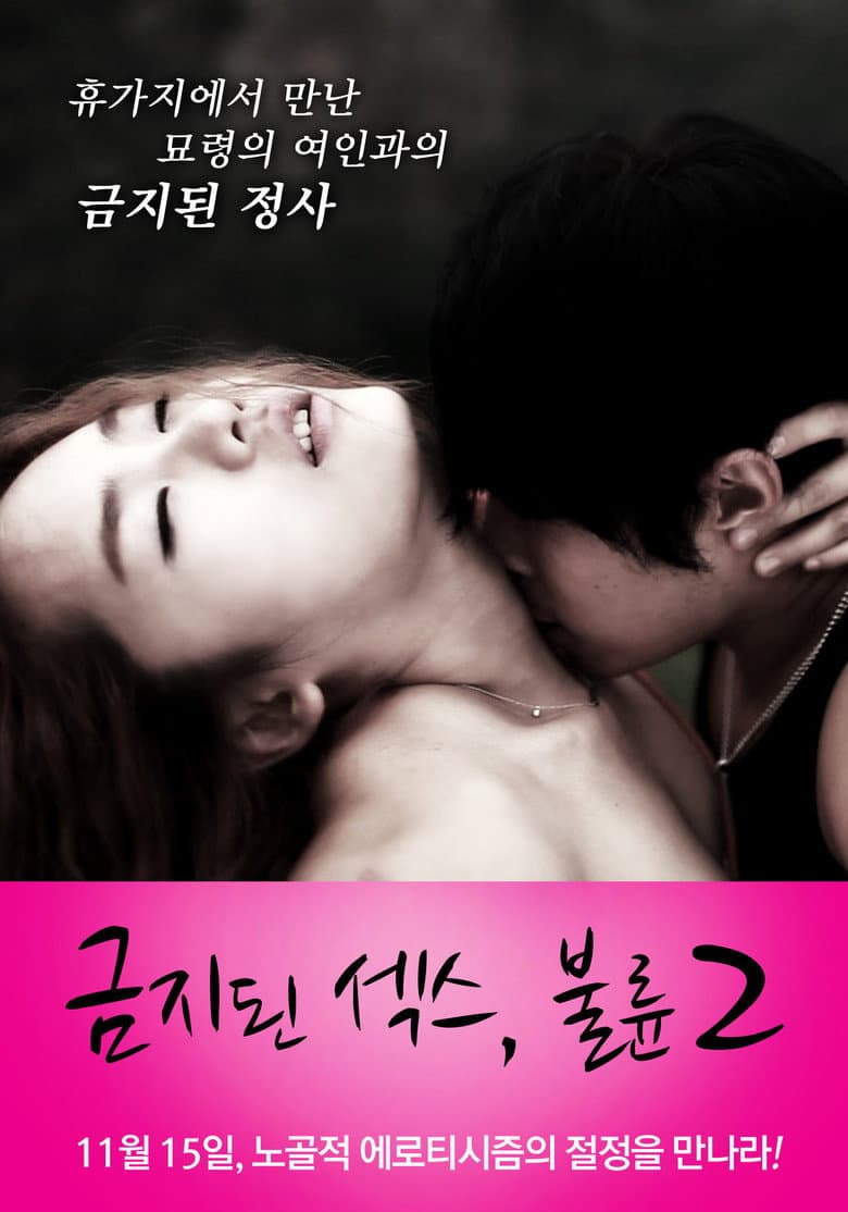 Forbidden Sex: Affair 2 poster