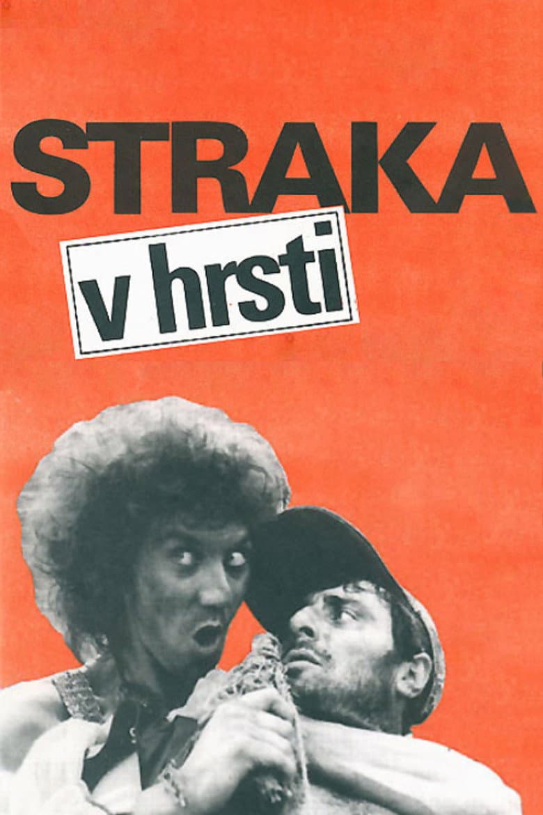 The Magpie in the Wisp poster