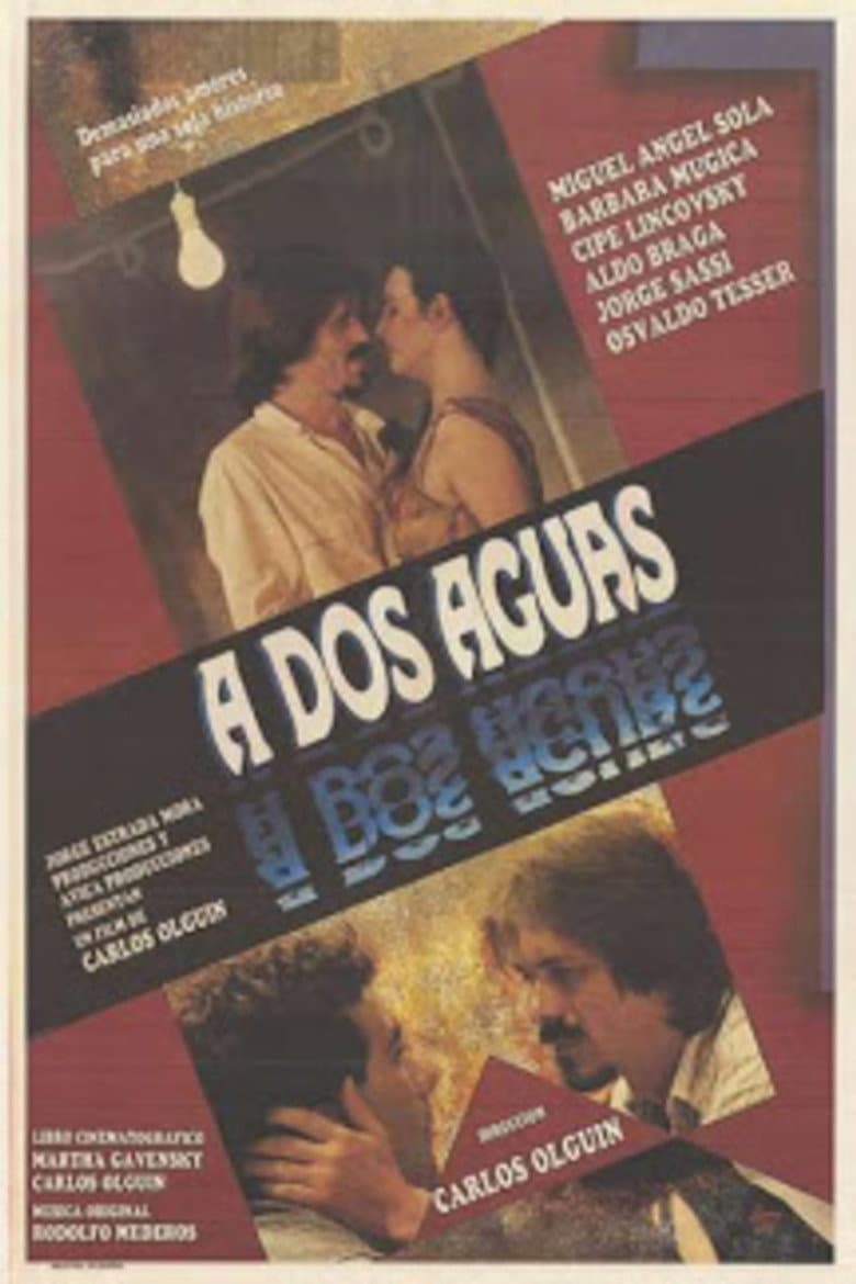 A dos aguas poster