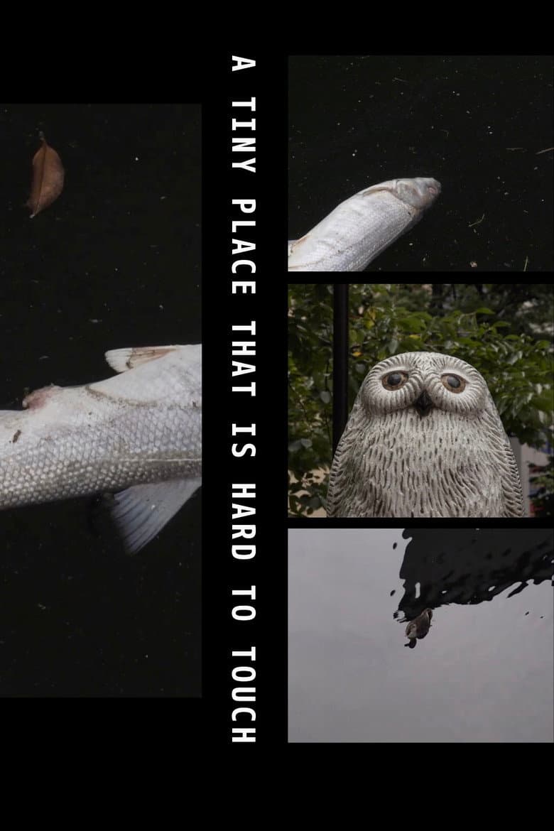 A Tiny Place That Is Hard to Touch poster