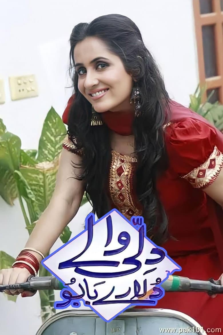 Dilli Walay Dularay Babu poster