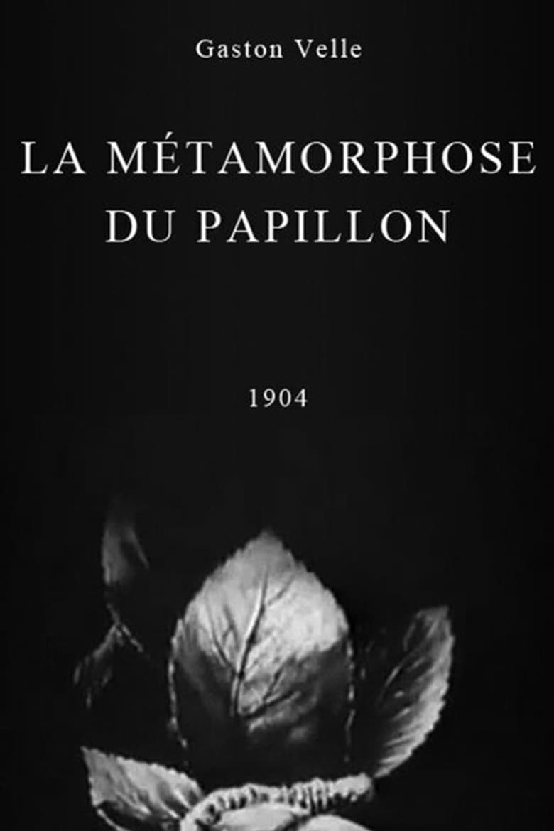 Metamorphosis of a Butterfly poster