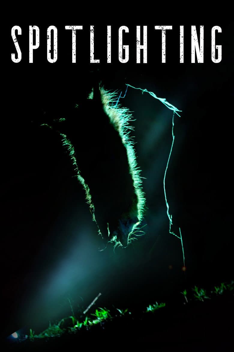 Spotlighting poster