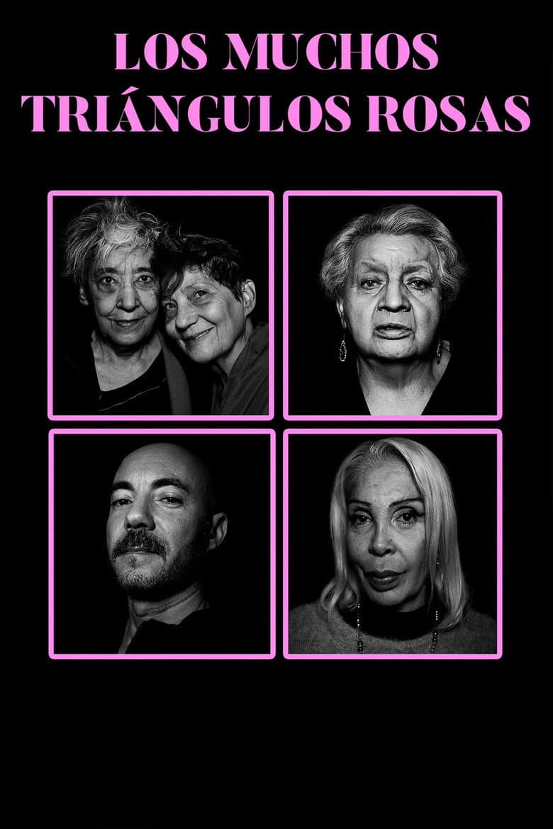 The Many Pink Triangles poster