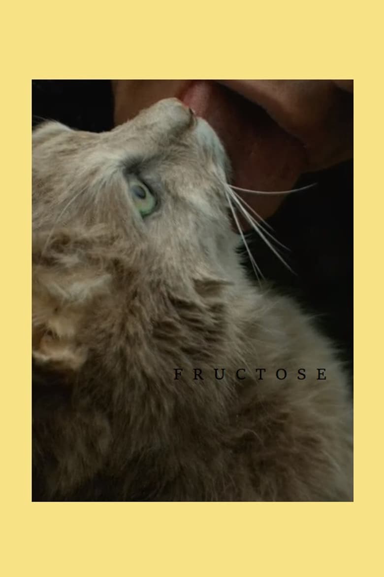Fructose poster