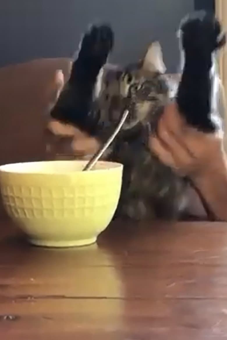 what does it bean poster