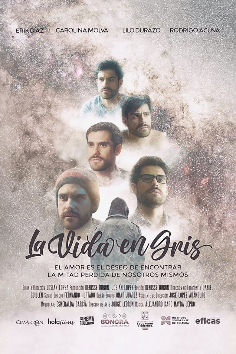 La vida en gris poster