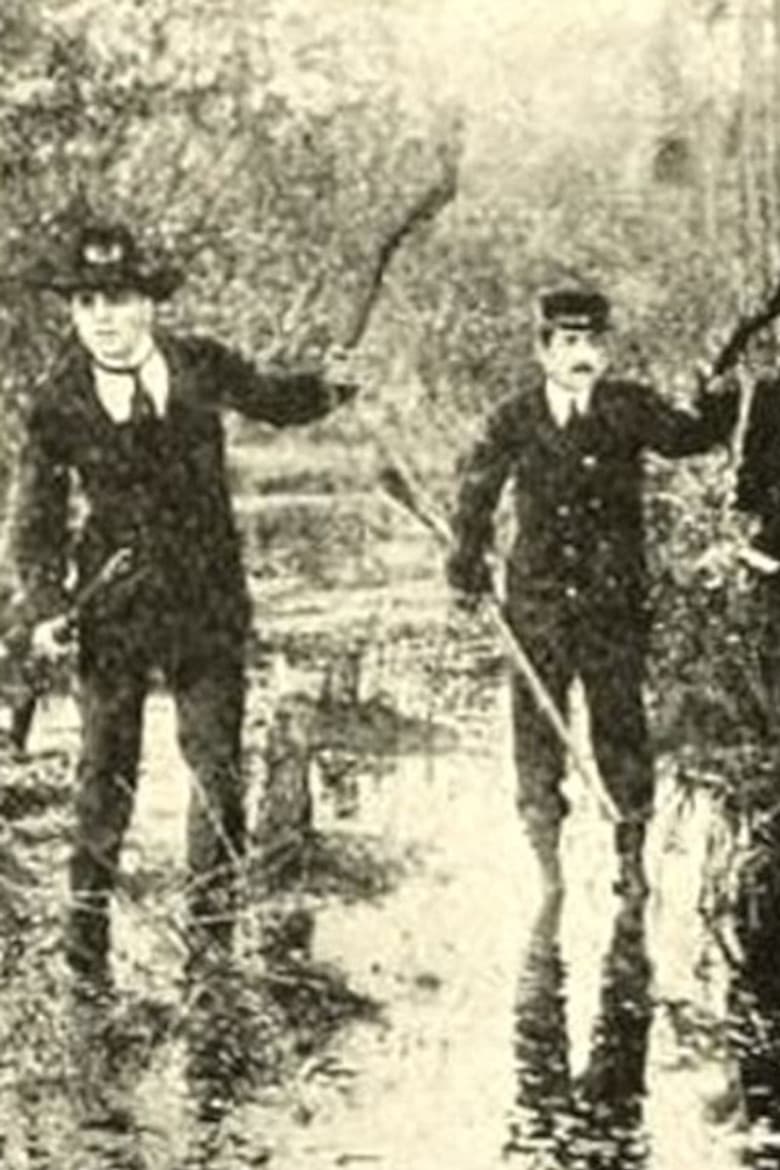 Love's Miracle poster