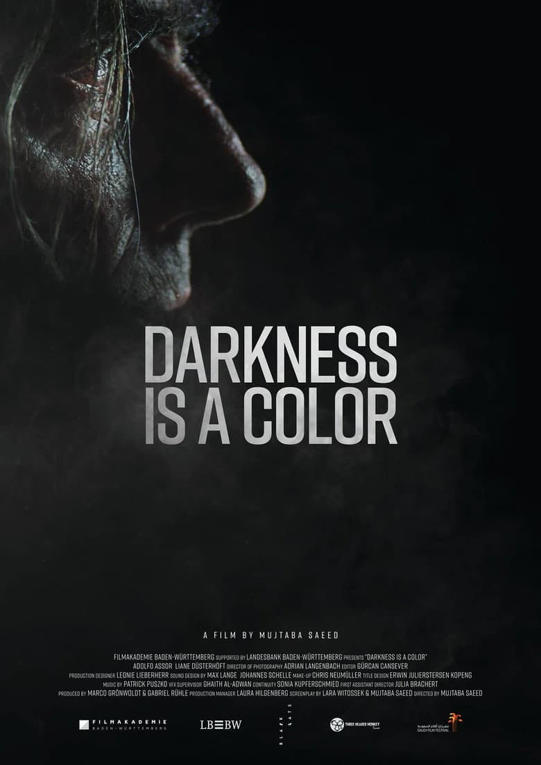 Darkness Is A Color poster
