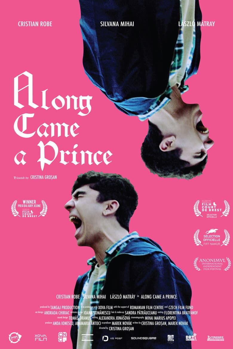 Along Came a Prince poster