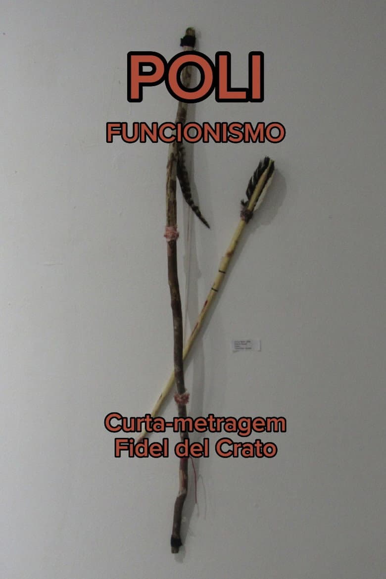 Polifuncionismo poster