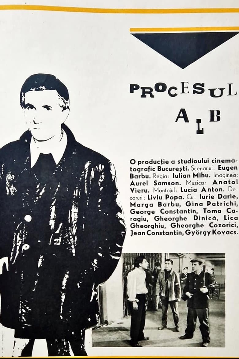 White Trial poster