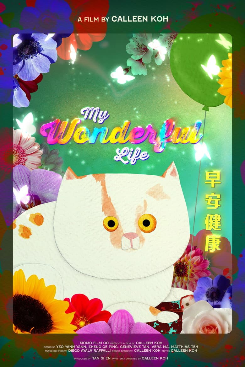 My Wonderful Life poster