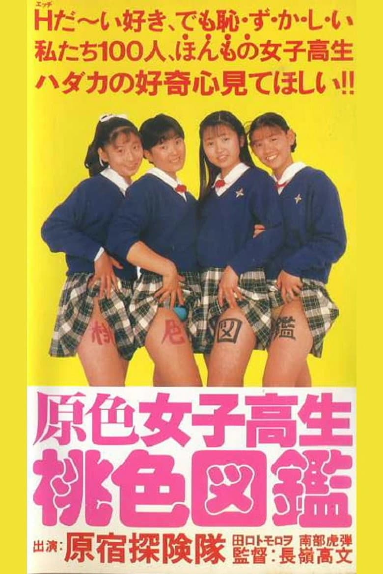 Primary Colour High School Girl Pink Picture Book poster