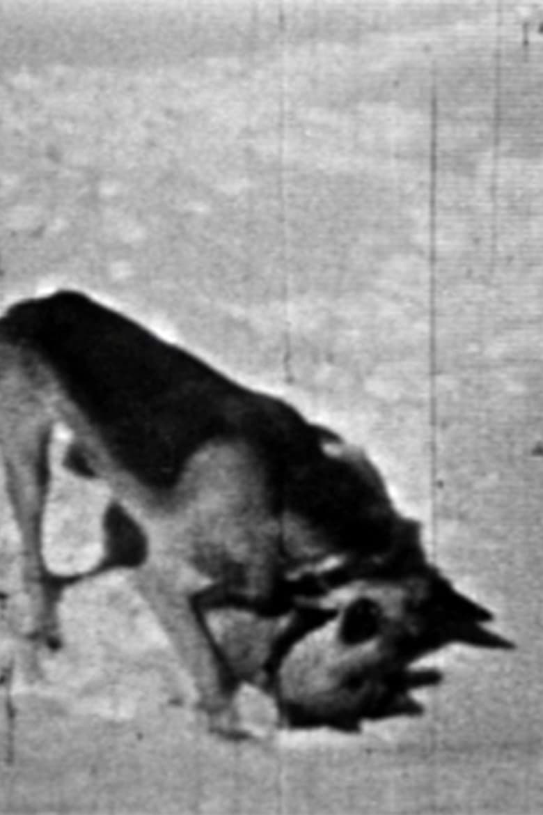 Mechanical Memory poster