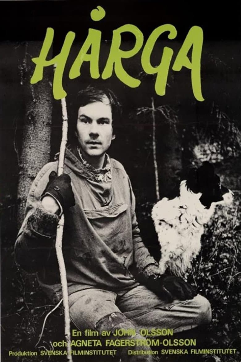 Hårga poster