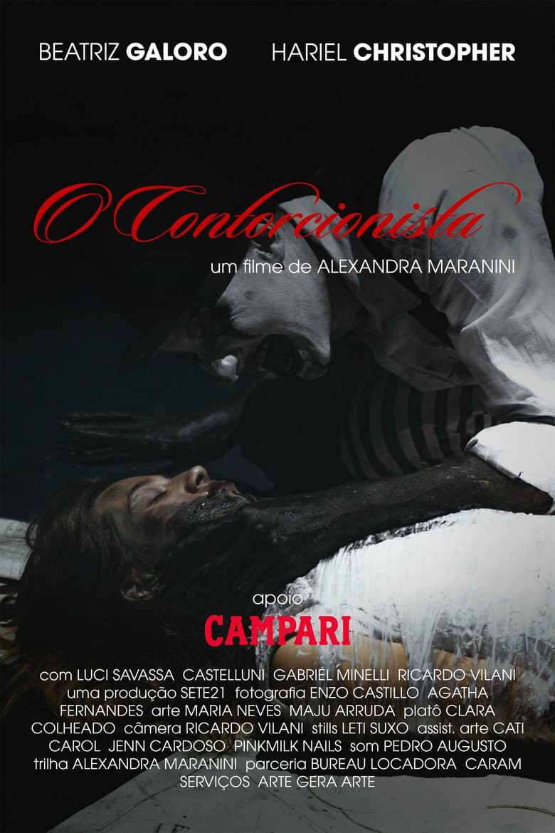 O Contorcionista poster