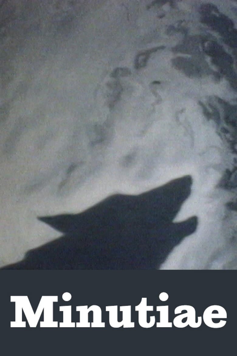 Minutiae poster