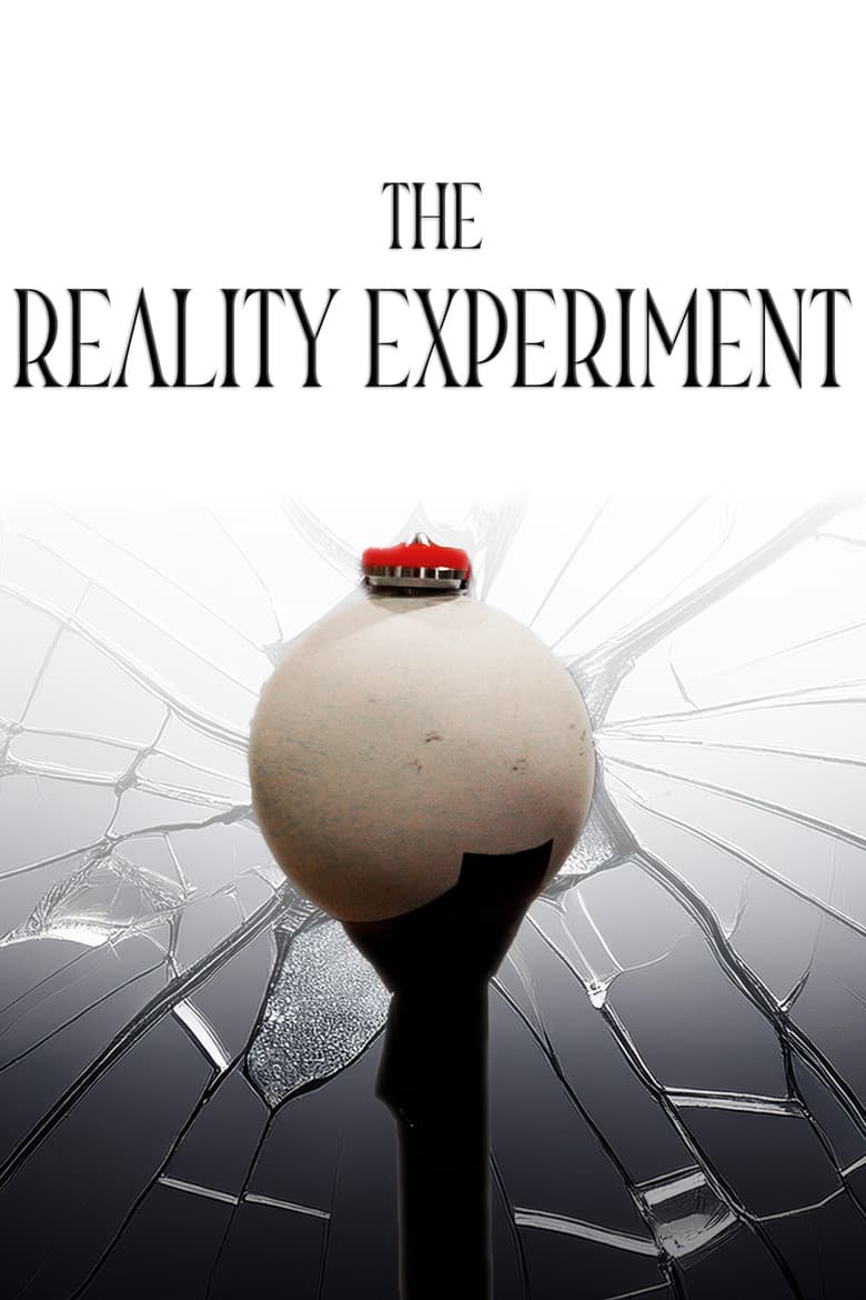 The Reality Experiment poster