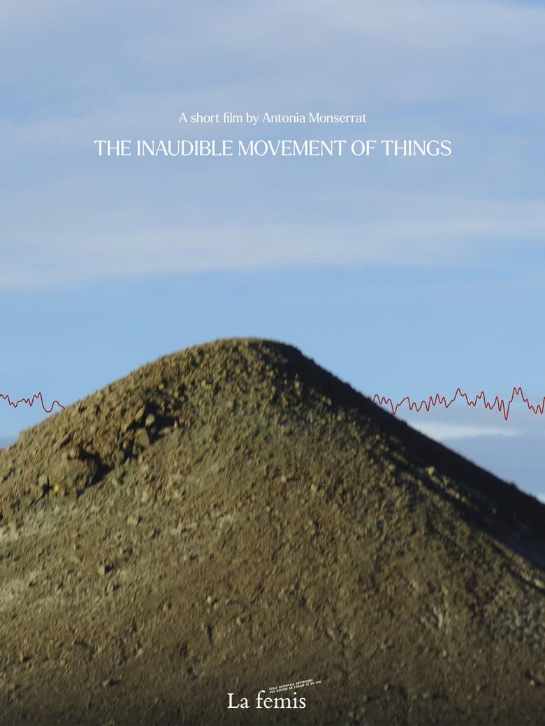 The inaudible movement of things poster