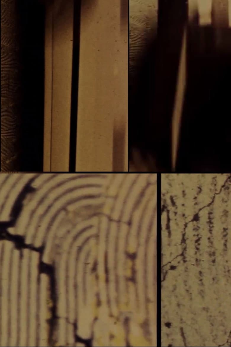 The Flight of 51_PEGASI_B? poster