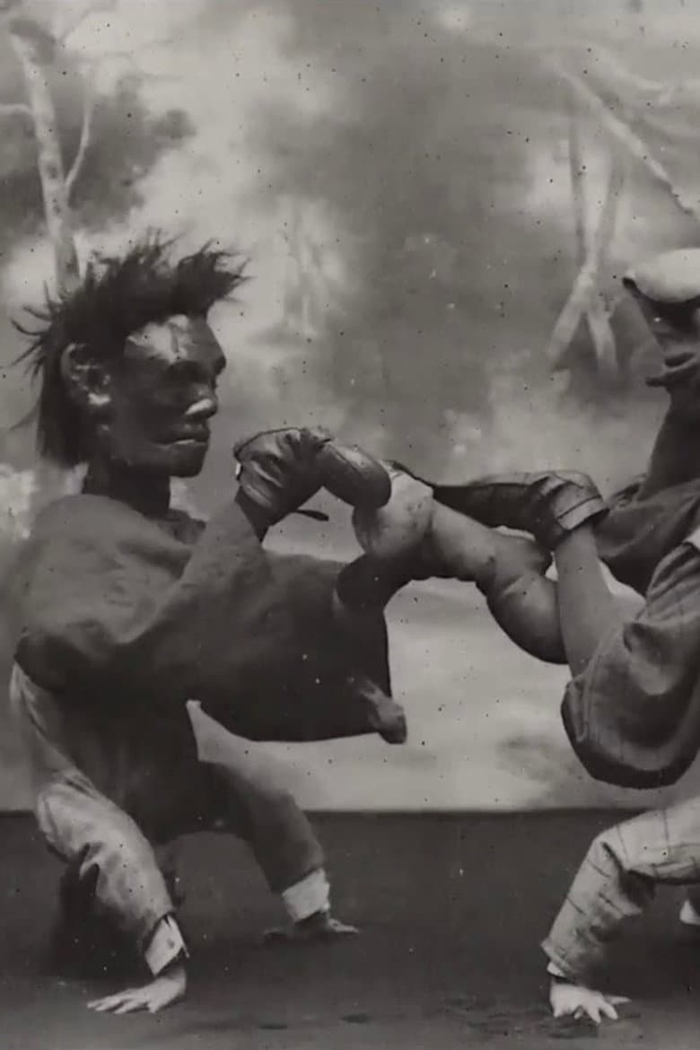 Upside Down Boxers poster