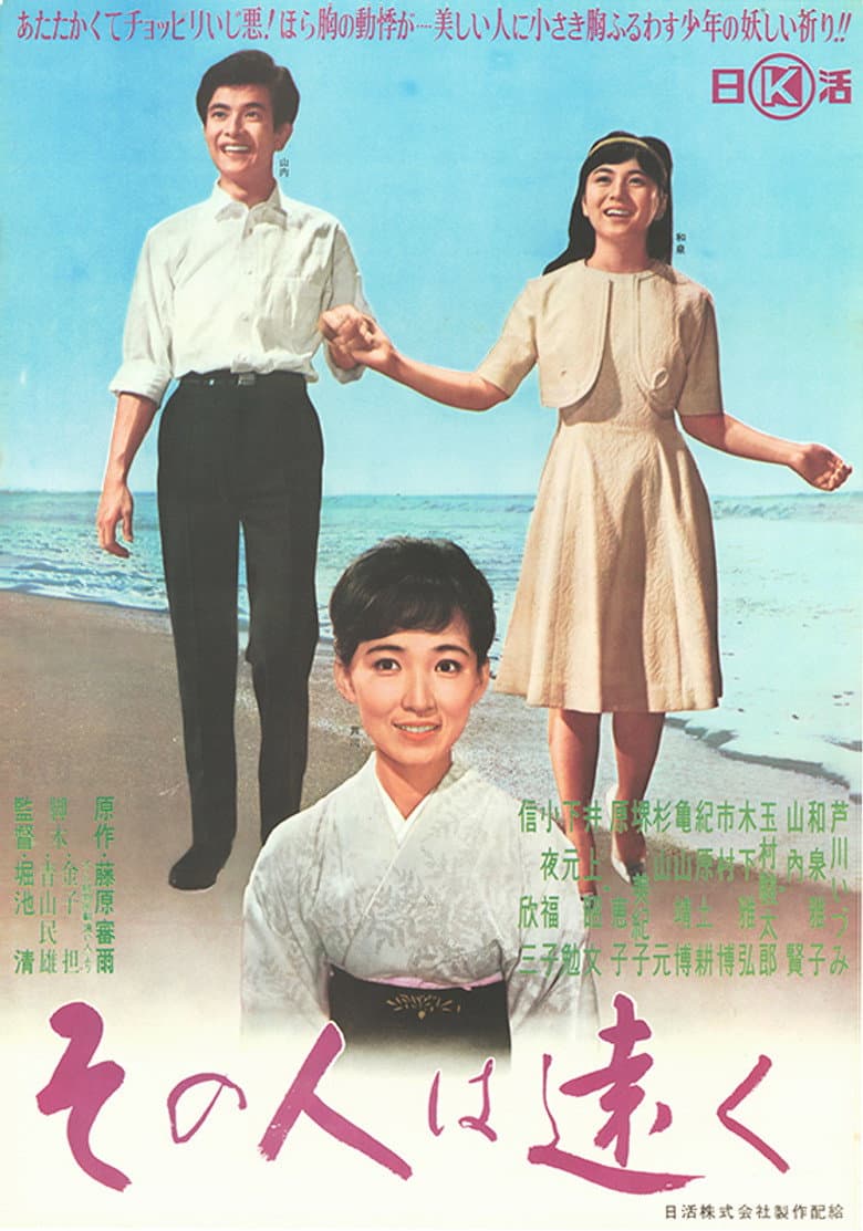Distant Love poster