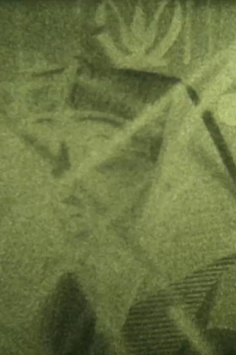 Visit to the Museum poster