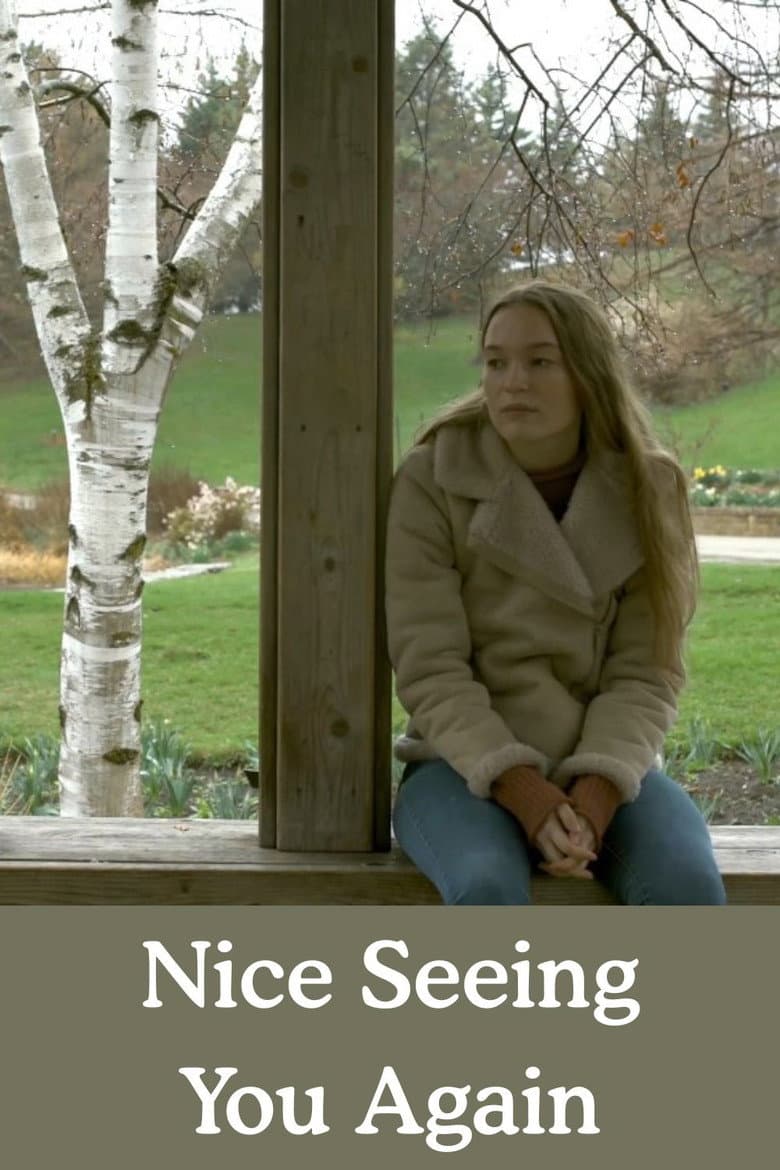 Nice Seeing You Again poster