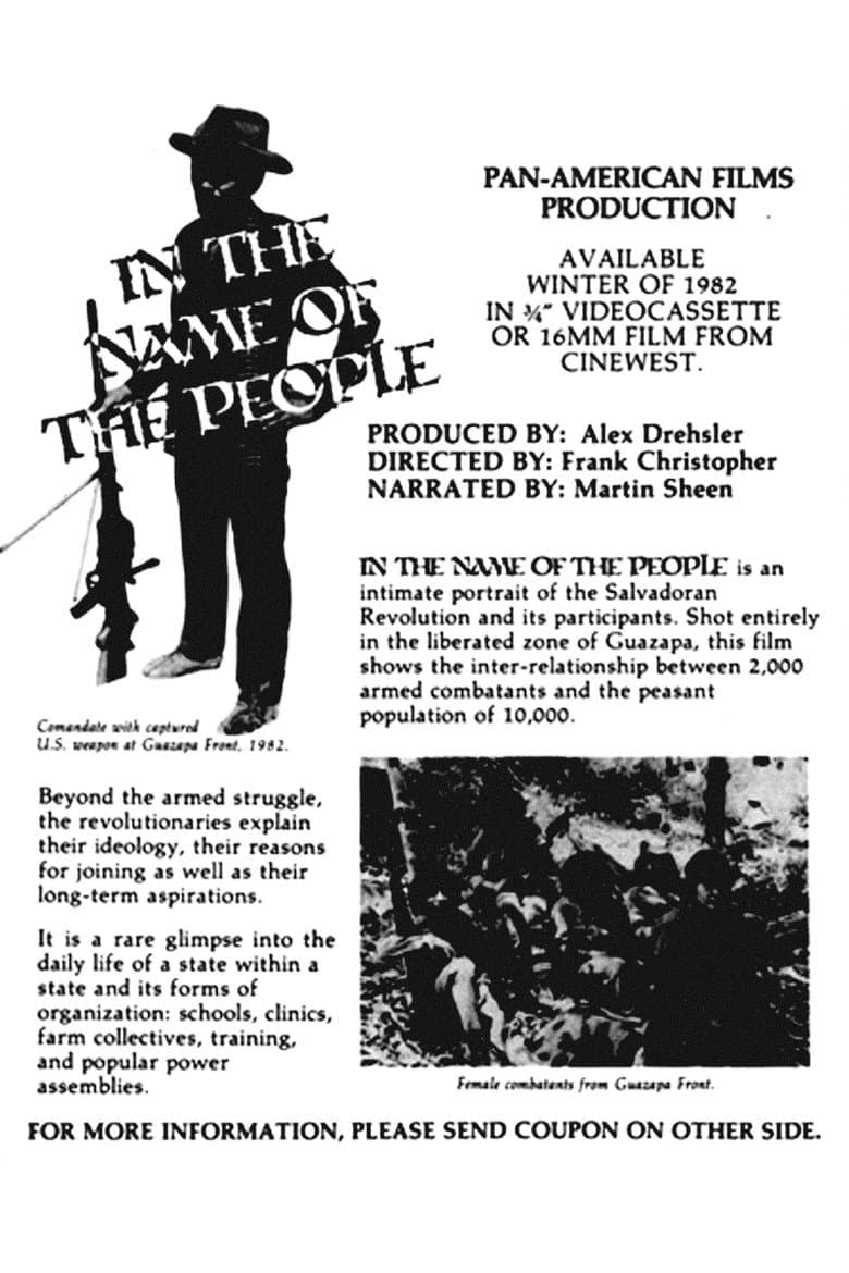 In the Name of the People poster