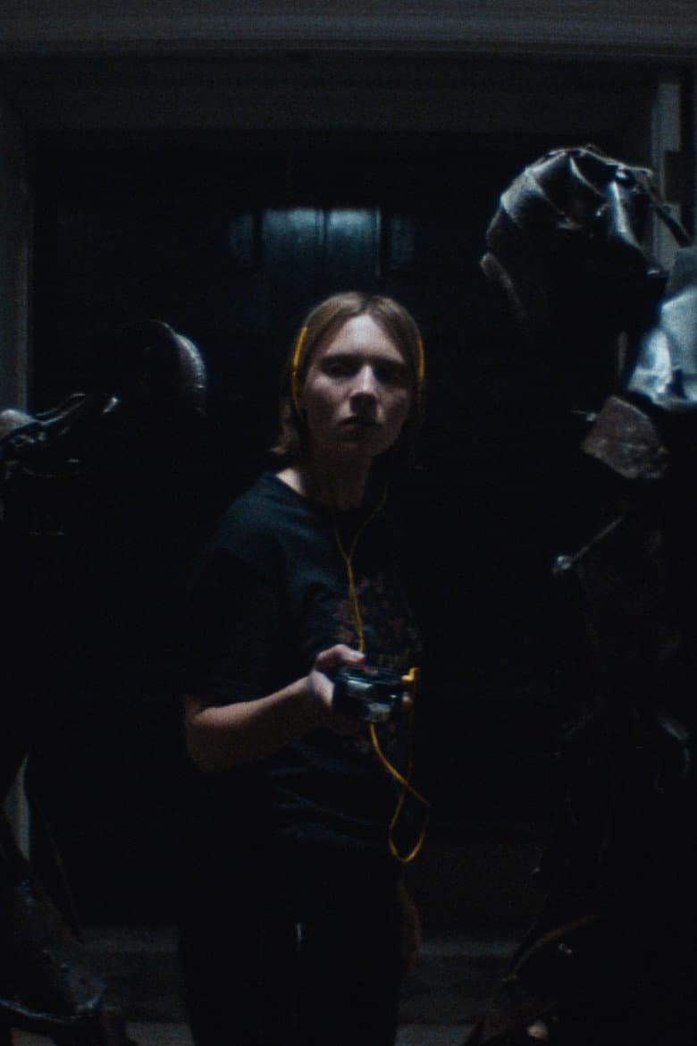 Recluse poster
