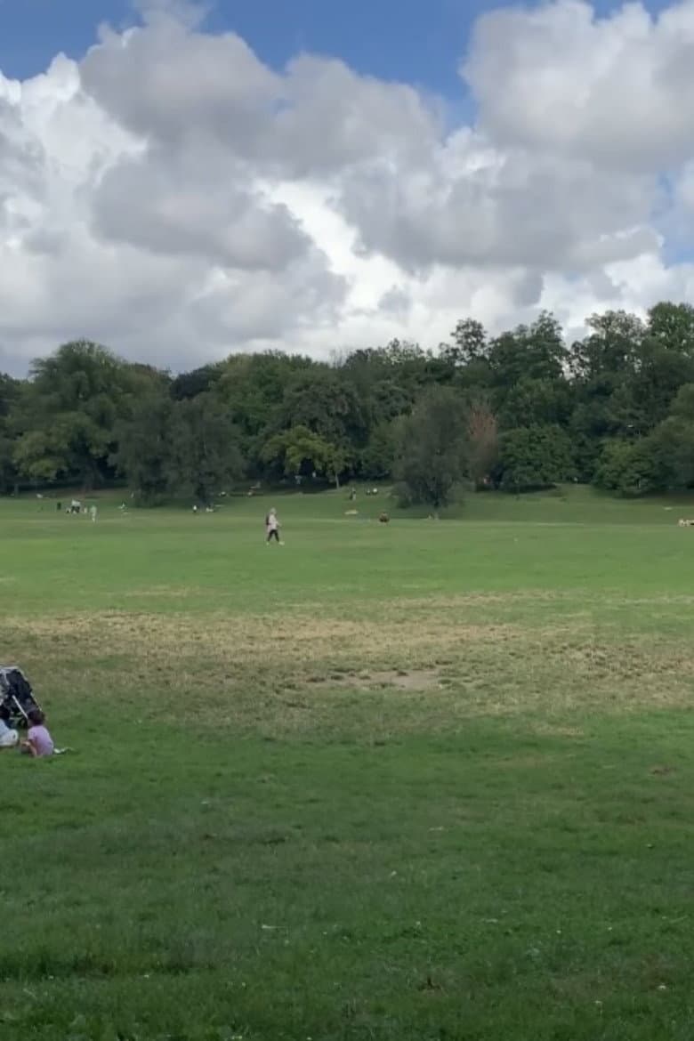 A Tree Grows in Brooklyn poster