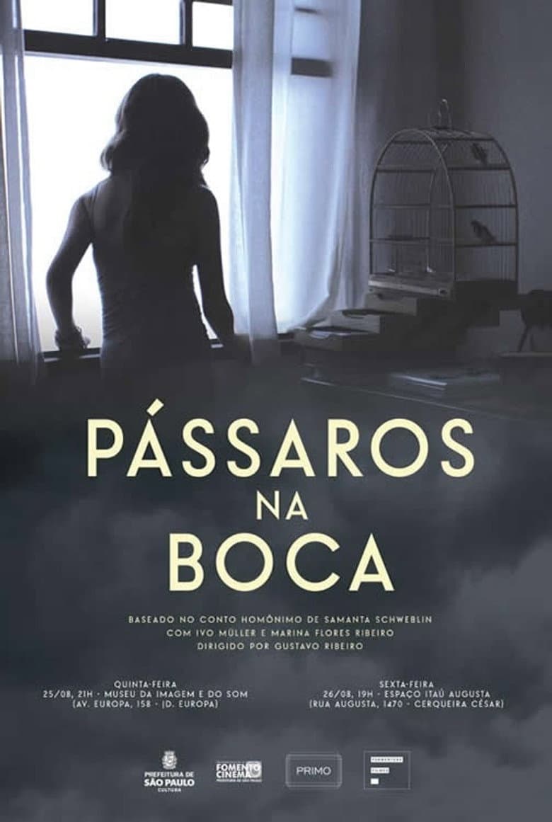 Pássaros Na Boca poster