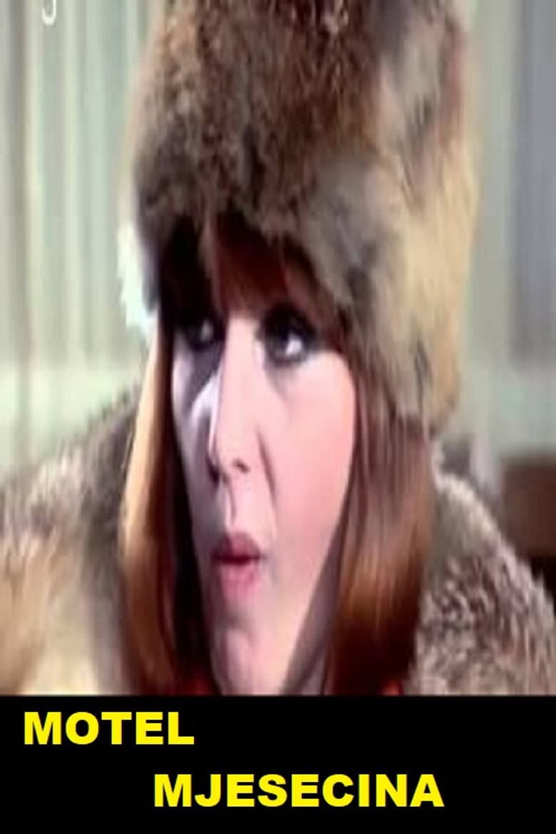 Motel Moonlight poster