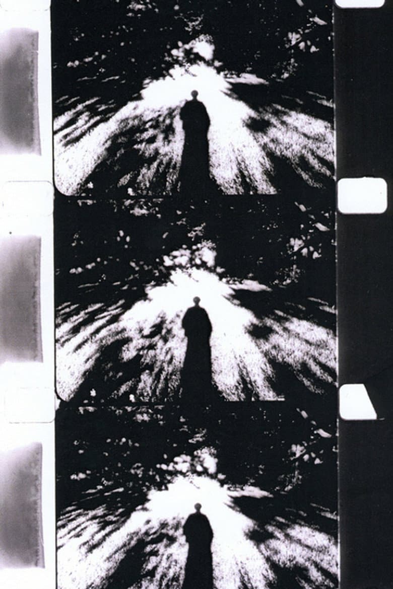 Imaginary Light poster
