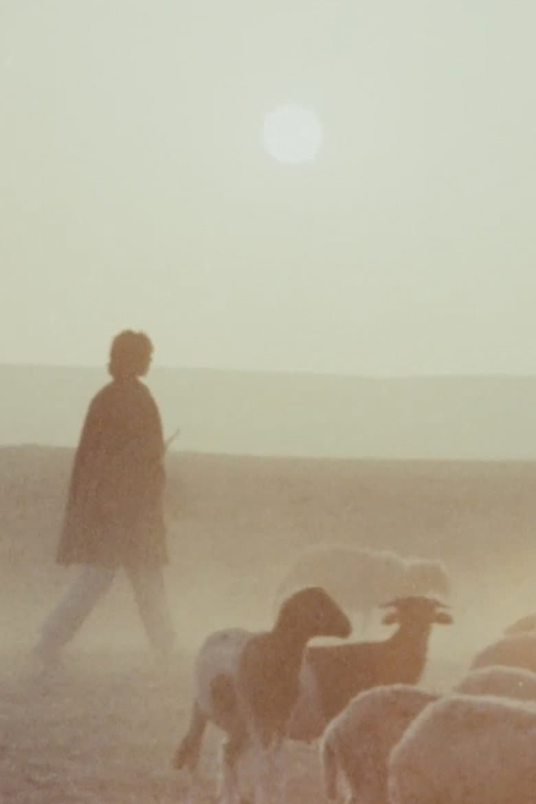 Woman is Sweeter poster