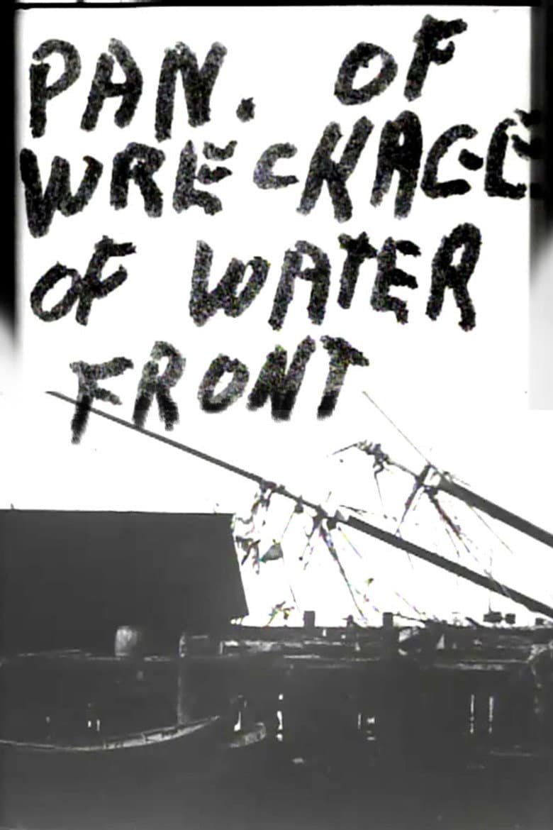 Panorama of Wreckage of Water Front poster
