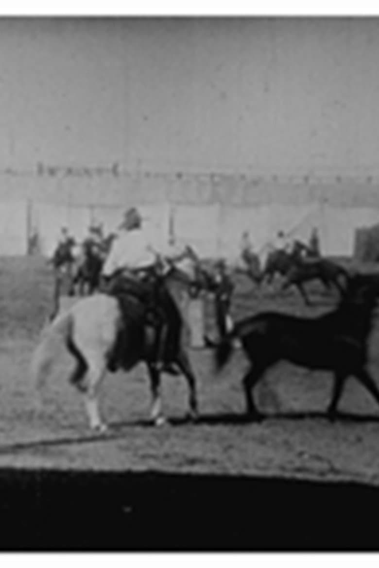 Buffalo Bill: lassage de chevaux poster