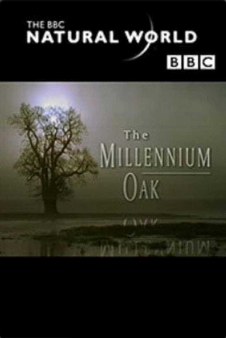 The Millennium Oak poster