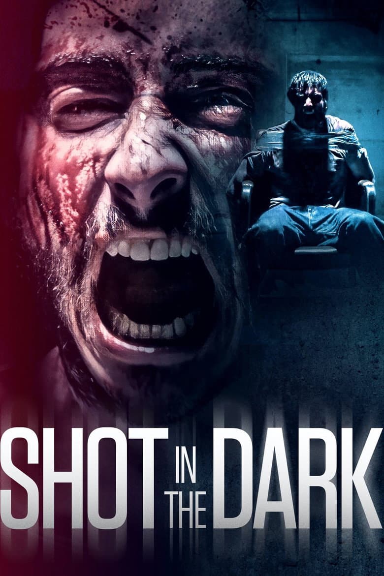Shot in the Dark poster