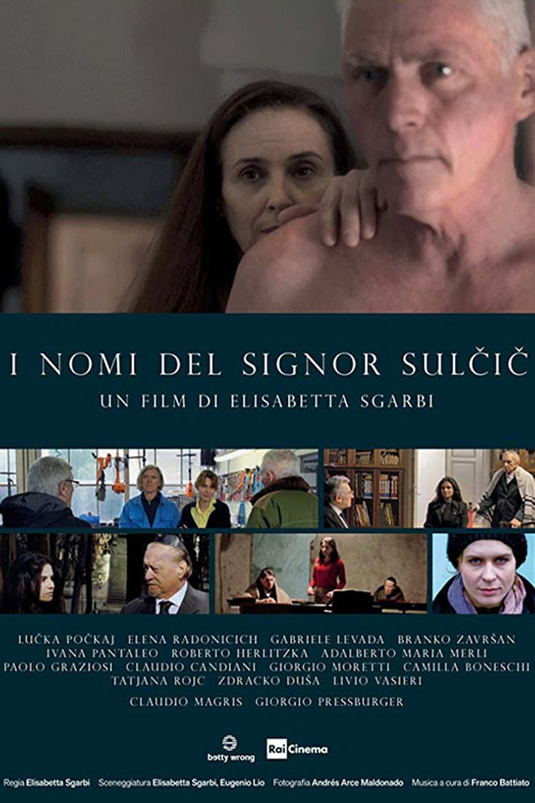The Names of Mr. Sulcic poster