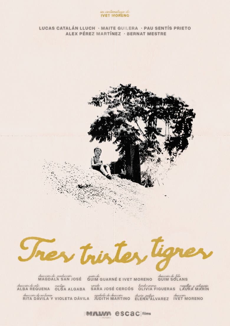Three sad tigers poster