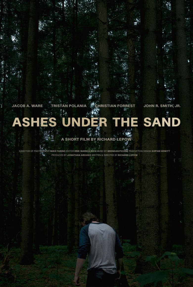 Ashes Under the Sand poster