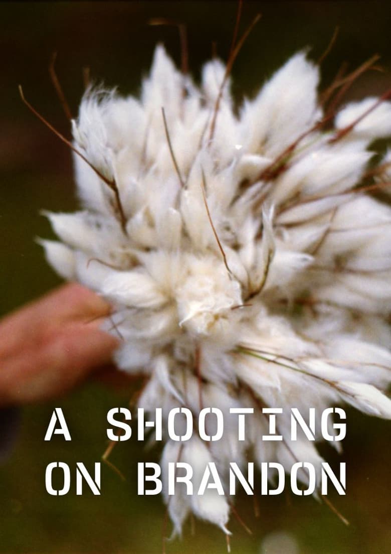 A Shooting on Brandon poster