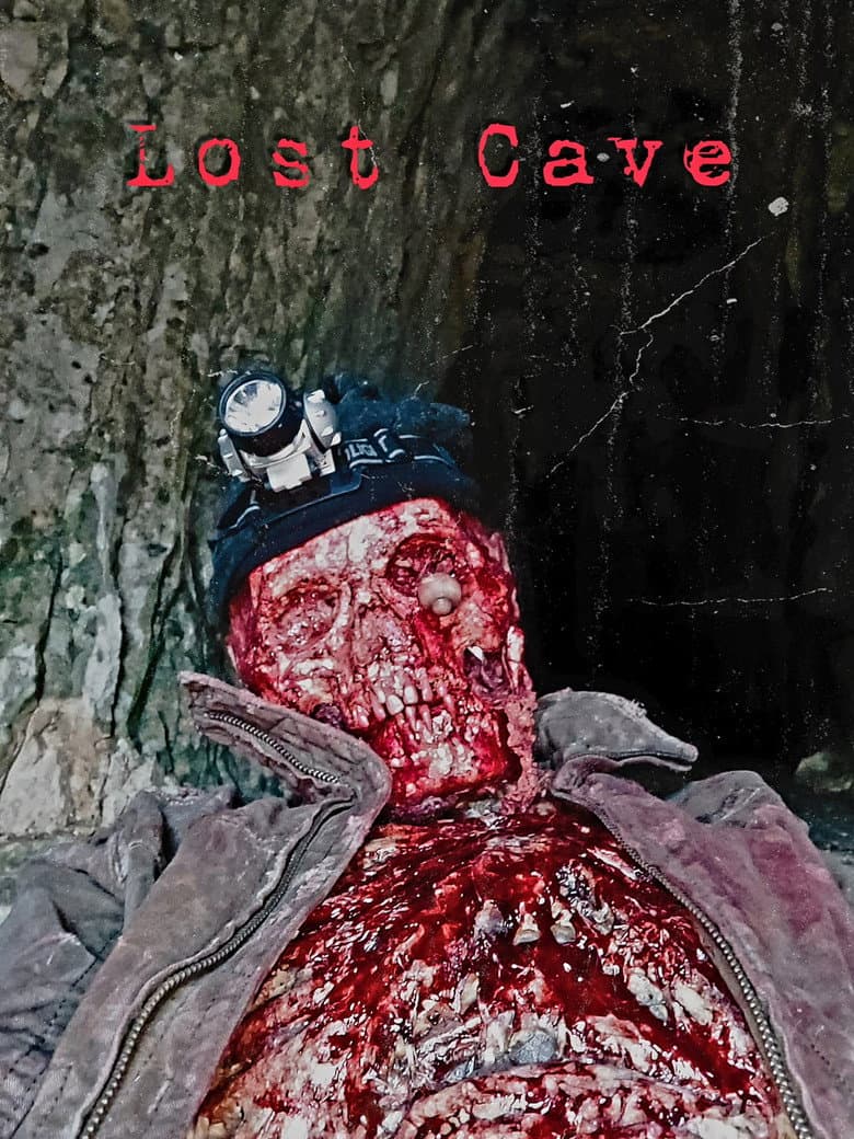 Lost Cave poster