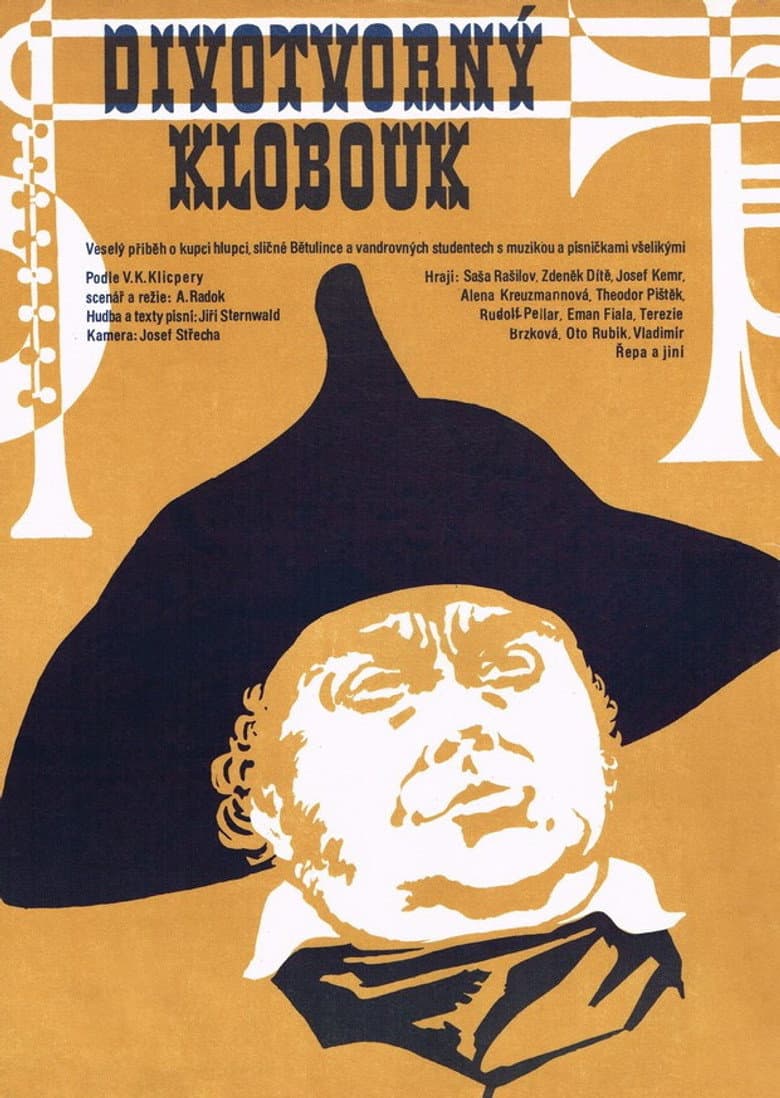 The Magical Hat poster